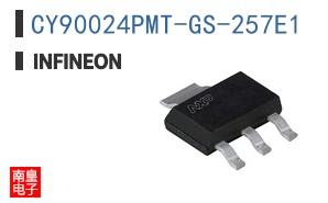 CY90024PMT-GS-257E1