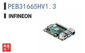 PEB31665HV1.3